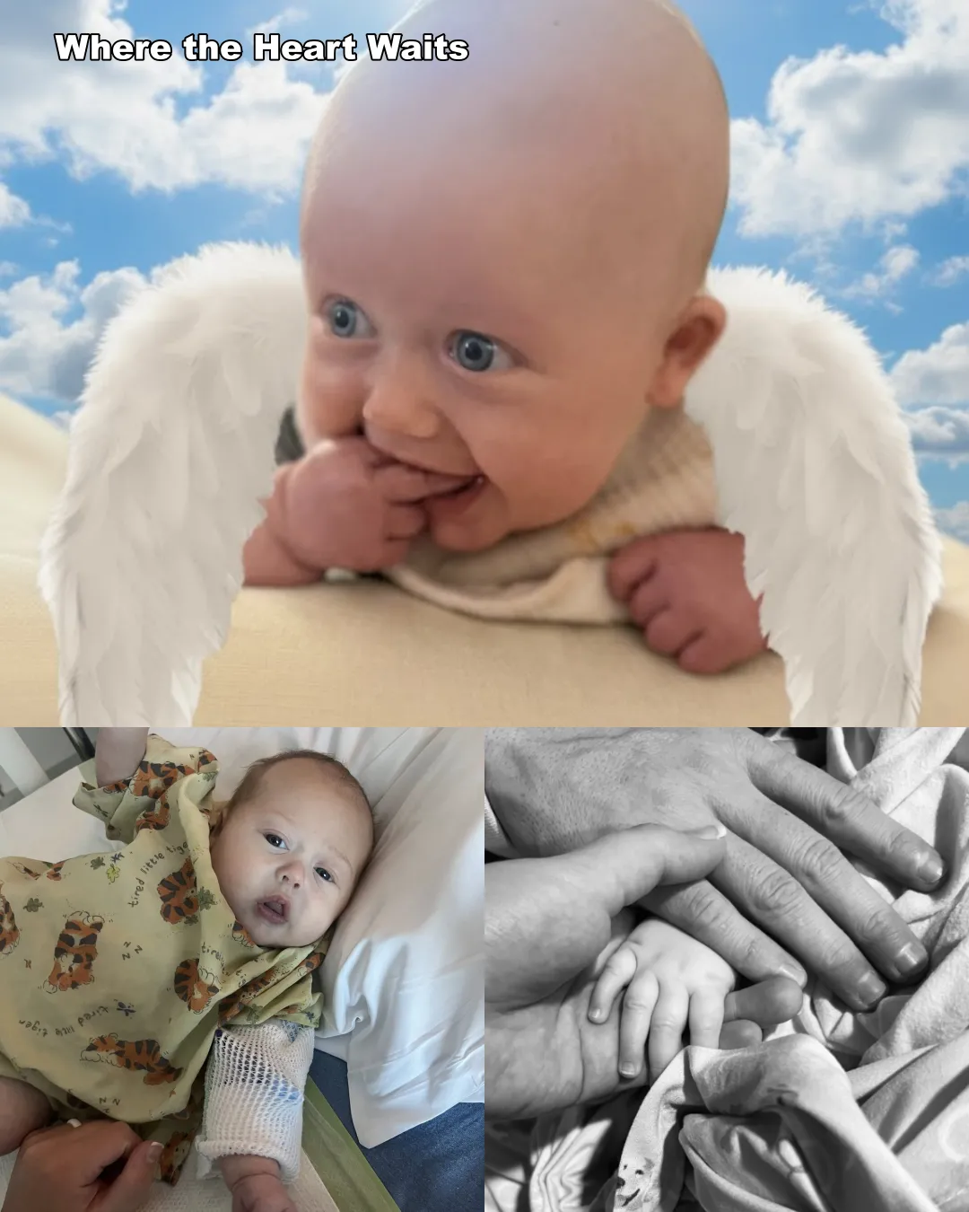 One Month in Heaven: Remembering Our Sweet Scottie Jo.2641