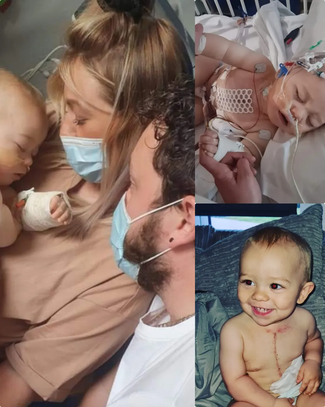 Freddie – The Cheeky Little Heart Warrior ✨.2320