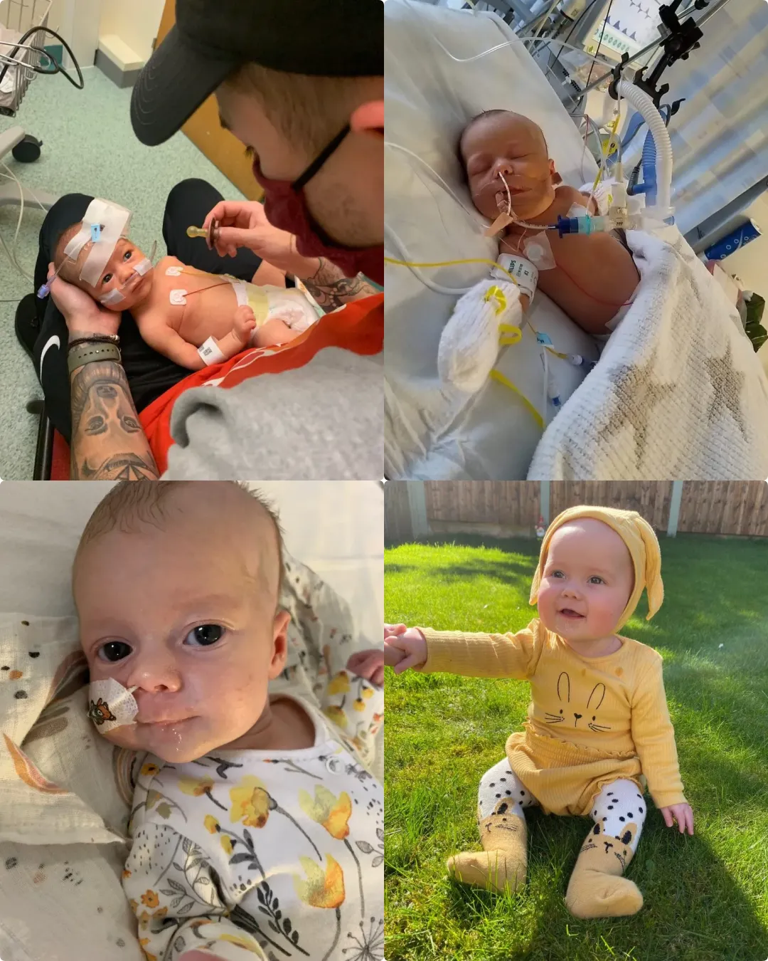 Eiley – The Tiny Fighter Who Overcame a Fragile Heart.2322
