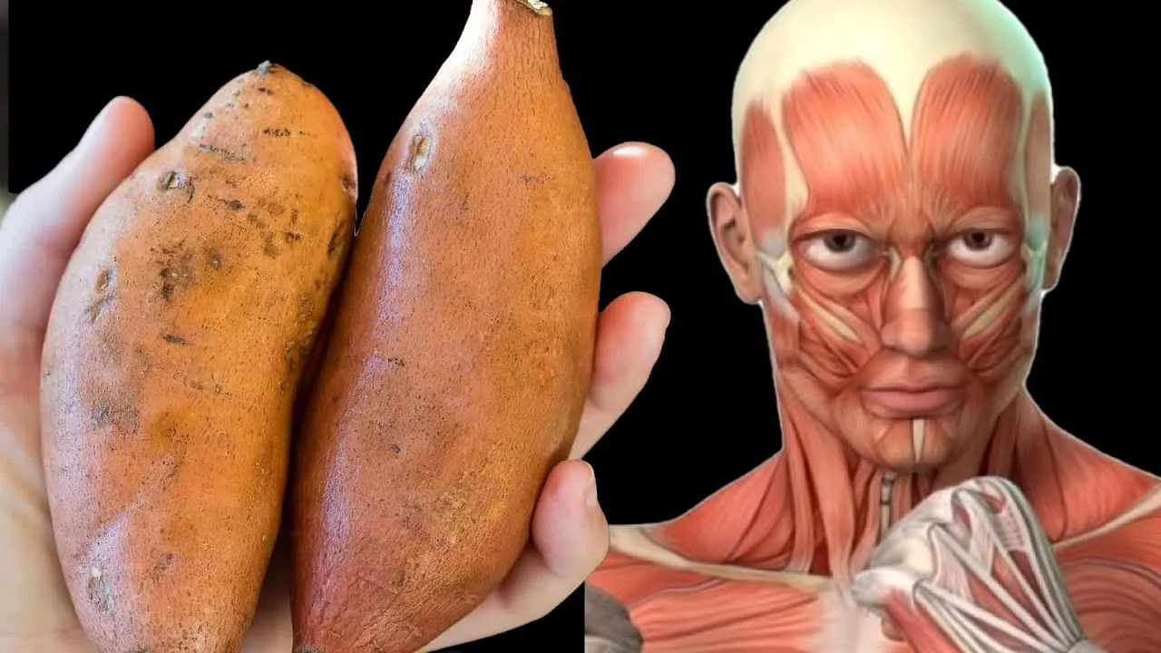 What Happens If You Eat Sweet Potatoes Every Day? A Doctor-Backed Look At This Simple Habit