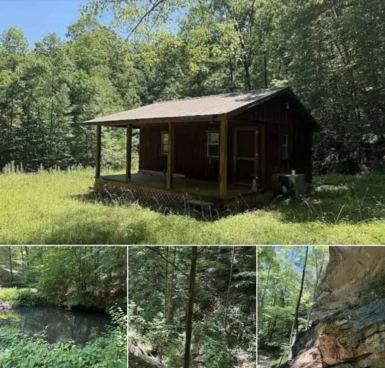 Secluded 116 Acres with Rustic Cabin & Private Pond