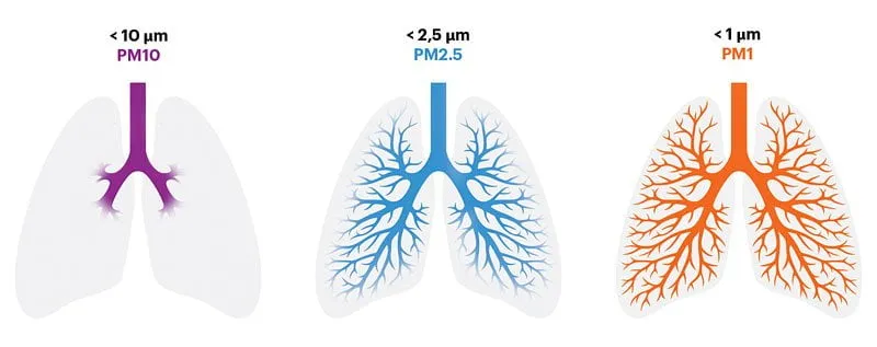 Thousands Stay Indoors as Dangerous PM2.5 Levels Blanket Parts of California