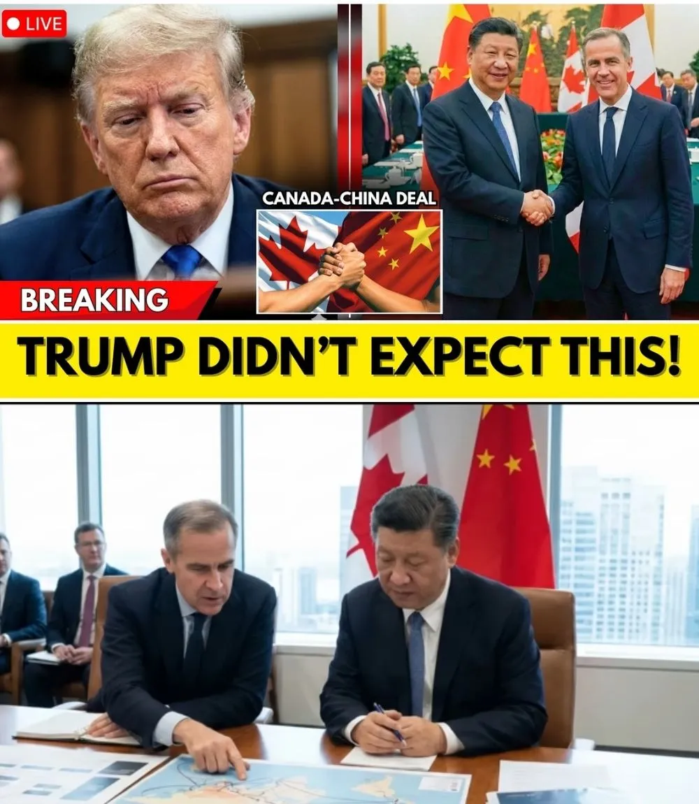 💣 CANADA PIVOTS EAST: CARNEY BREAKS 8-YEAR FREEZE WITH BEIJING IN HIGH-STAKES TRADE GAMBLE  🇨🇦🇨🇳 Prime Minister Mark Carney lands in China for the first Canadian leader visit since 2017, aiming to unlock billions in frozen trade and slash Canada’s reliance on the U.S. Talks with Xi Jinping could trade EV tariffs for relief on canola, pork, energy, and minerals—a bold bid for “strategic autonomy” as Ottawa redraws its economic map…