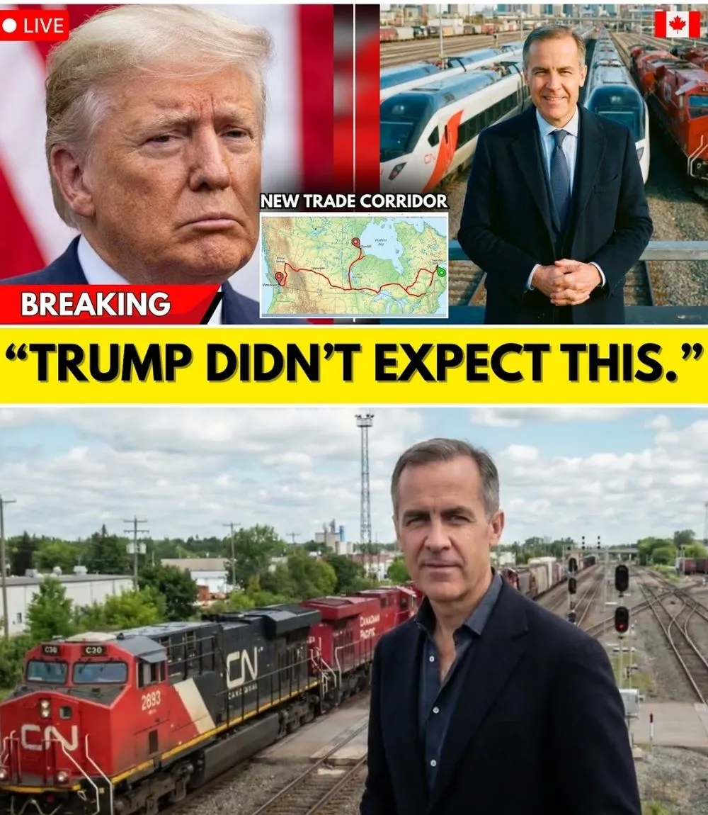 💣 CANADA BREAKS FREE FROM U.S. PORT CONTROL: $262M HUDSON BAY RAILWAY MOVE SHAKES NORTH AMERICAN TRADE. Mark Carney’s government has greenlit a $262 million upgrade to the Hudson Bay Railway, creating a direct export corridor to Europe that bypasses U.S. ports entirely. The move ends a century of dependence on American logistics, threatens billions in U.S. transit revenue, and repositions Churchill as a strategic Arctic trade hub. What was once dismissed as obsolete infrastructure is now Canada’s clearest play for trade sovereignty—and Washington wasn’t ready for it.