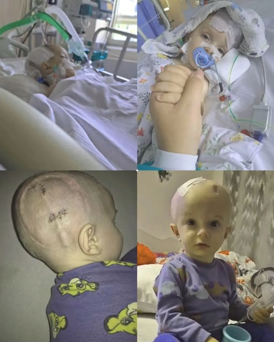 Before He Could Learn to Speak, Tymek Learned How to Fight 4712