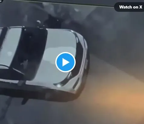 Chaos at Obama's Home, Secret Service Calls for Back Up as Fight Breaks Out