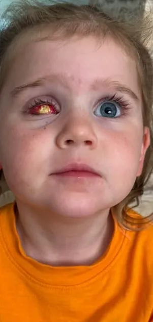 Mceclip37 1760946803 Q80