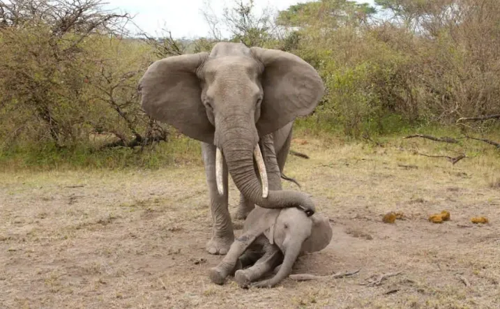 Mceclip32 1761537513 Q80