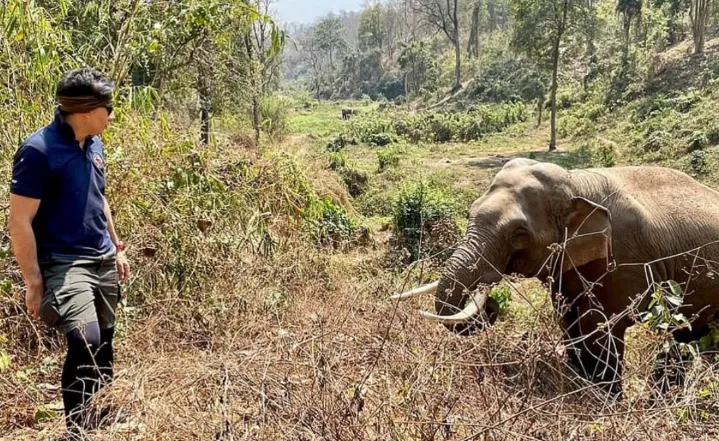 Mceclip24 1761720253 Q80