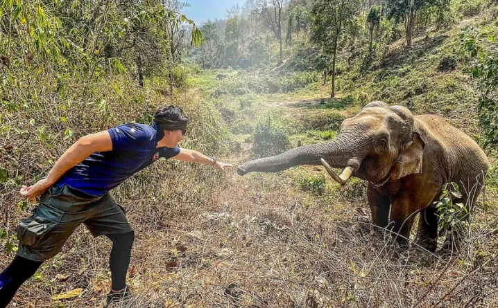 Mceclip25 1761720266 Q80