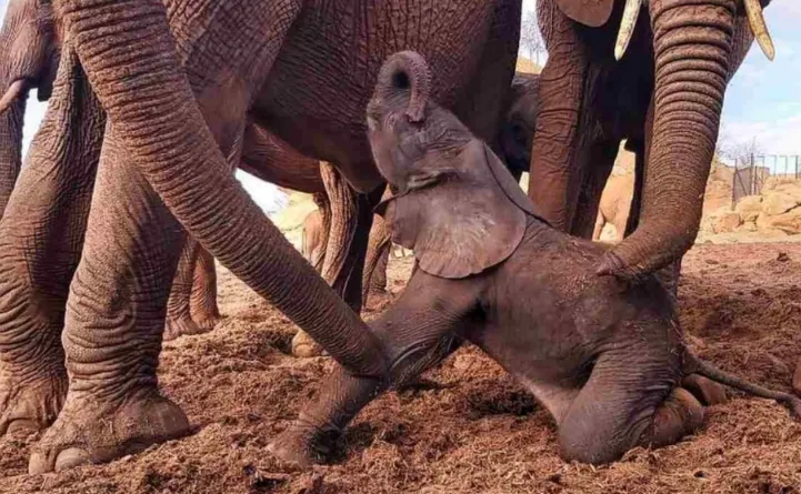 Mceclip29 1761897568 Q80