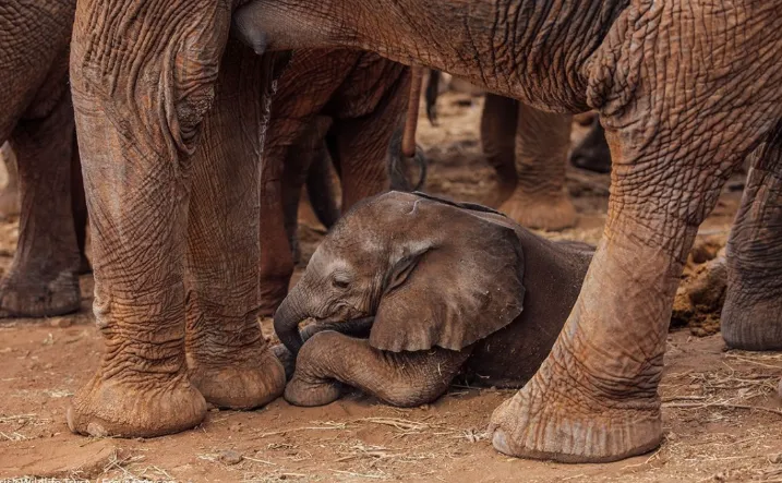 Mceclip30 1761897573 Q80