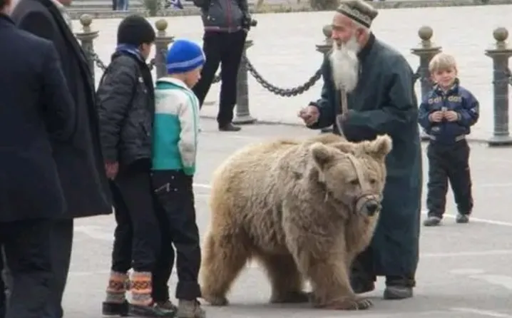 A Unique Bond: The Heartwarming Tale of Talabshoh Sheikhov and María Mceclip32 1761899536 Q80