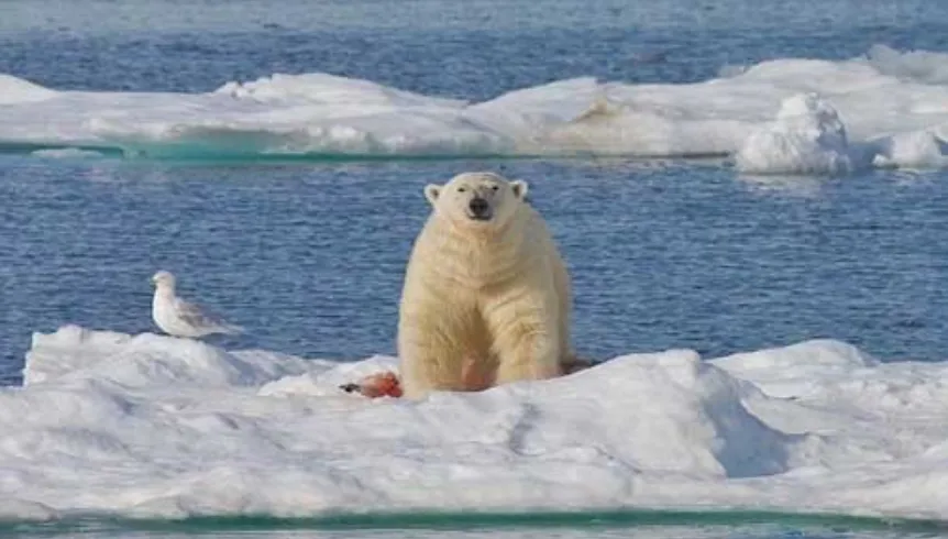 Mceclip34 1764035756 Q80