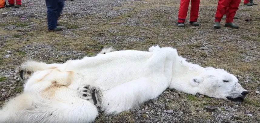 Mceclip42 1764036419 Q80