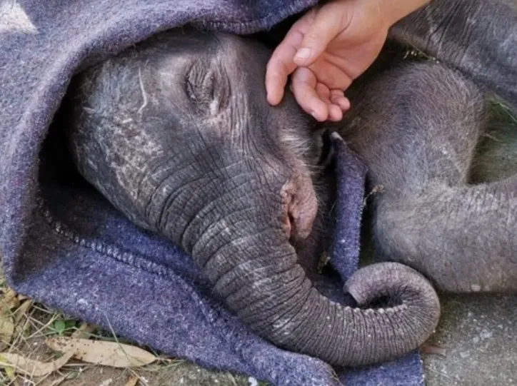 Mceclip28 1764581953 Q80