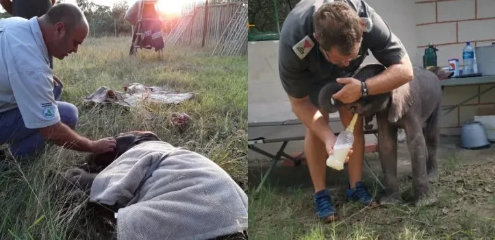 Mceclip29 1764581962 Q80