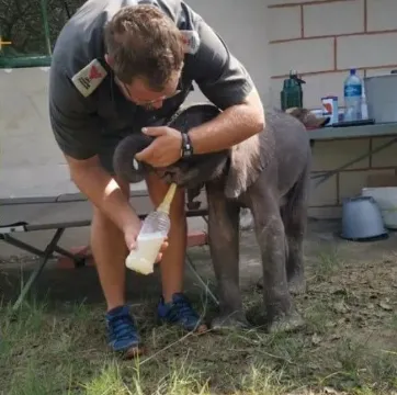 Mceclip30 1764581965 Q80