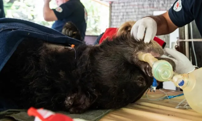 Mceclip56 1764560062 Q80