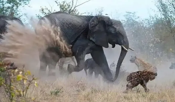 Mceclip46 1764921257 Q80