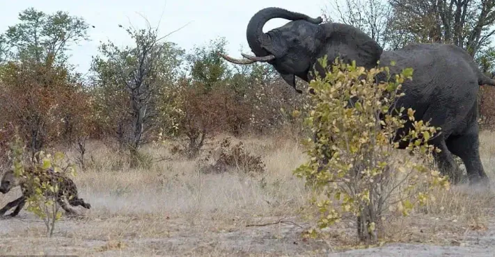 Mceclip49 1764921271 Q80