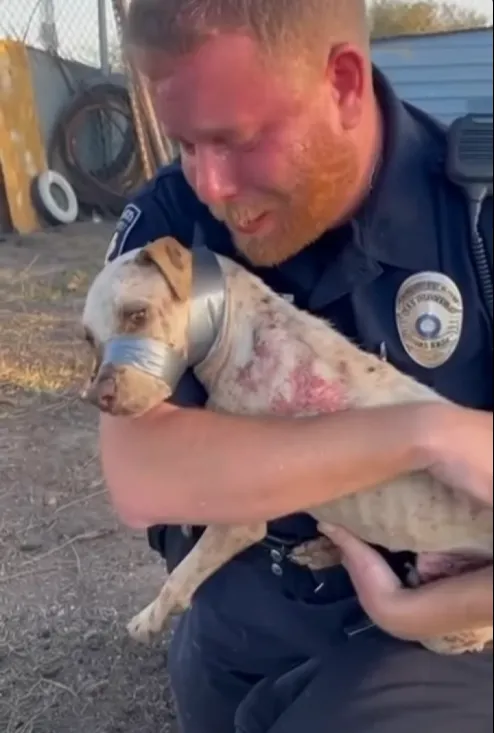 Mceclip62 1765940141 Q80