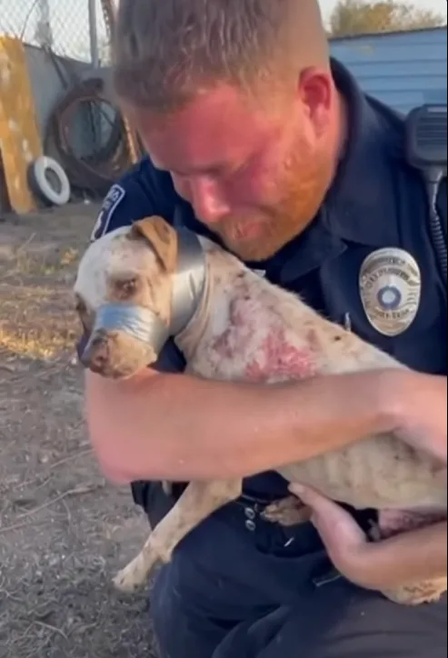 Mceclip63 1765940151 Q80