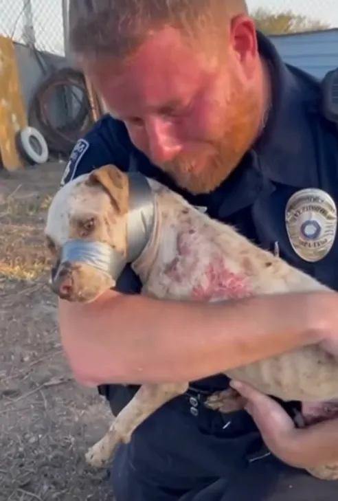 Mceclip64 1765940157 Q80