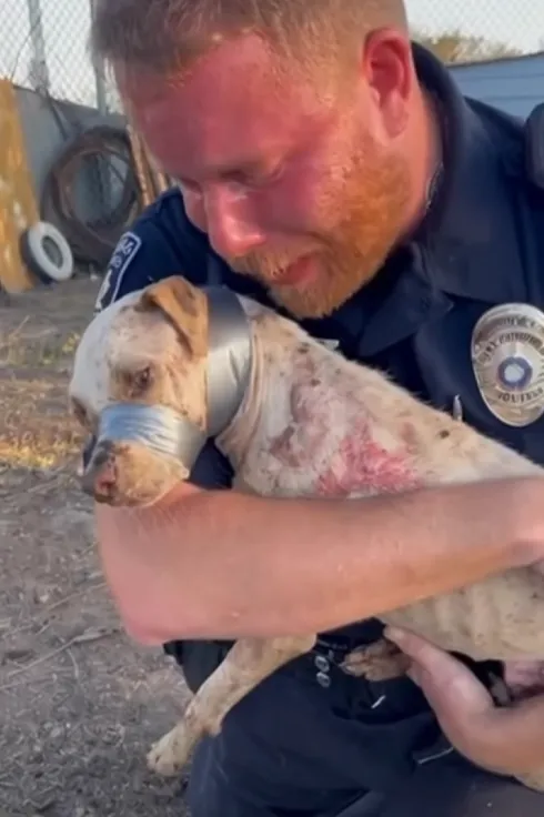 Mceclip65 1765940166 Q80