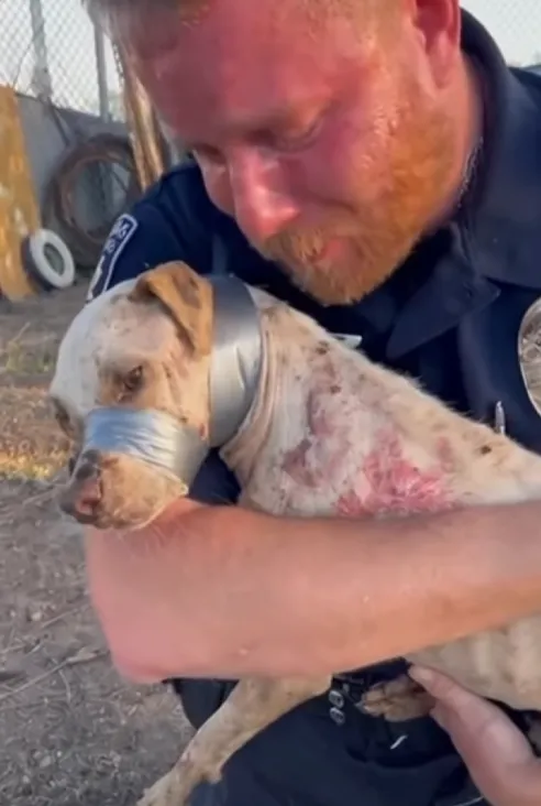 Mceclip66 1765940179 Q80