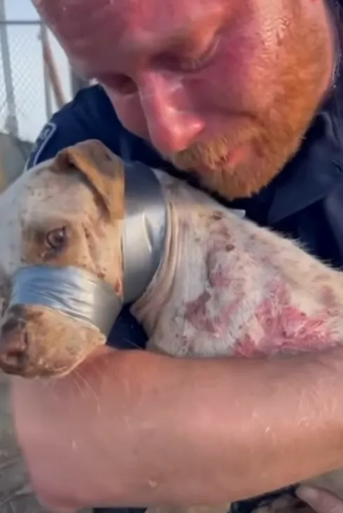 Mceclip67 1765940184 Q80