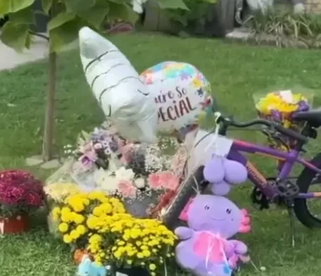 7-Year-Old Girl Dies After Being Stabbed by Teen Sister in Taylor, Michigan.