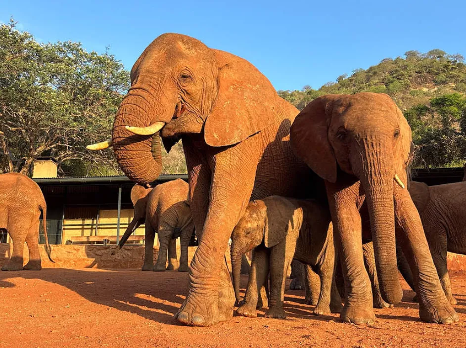 Mceclip92 1766730308 Q80