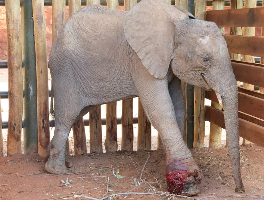 Mceclip93 1766730322 Q80