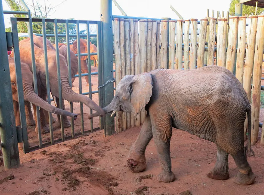 Mceclip94 1766730330 Q80