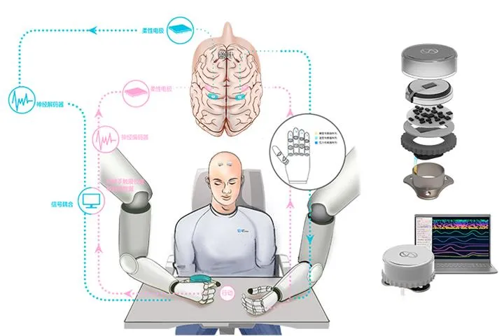 OpenAI Bets on the Brain: Why Sam Altman’s Neural Startup Merge Labs Could Change How Humans Think With AI