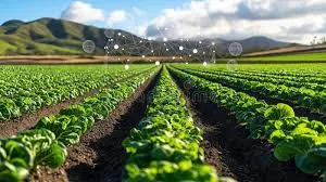 This AI Can Tell Crops From Weeds: How Carbon Robotics Is Teaching Machines to See Plants